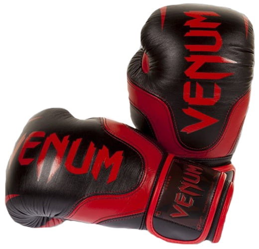 Venum Devil Boxing Gloves 10oz 