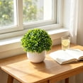 thumbnail image 4 of Artificial Potted Plant for Home Decor – Small Fake Green Bonsai with Plastic Leaves for Desk, Living Room, Office, Shelf, or Window Sill, 4 of 6