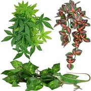3 Pieces 12 Inch Reptile Plants Set Artificial Hanging Silk Terrarium Plant Artificial Money Plant Hanging Vines with Suction Cups for Lizards Bearded Dragons Snake Geckos Hermit Crab Tank Decor