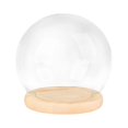 thumbnail image 3 of with Base Transparent Showcase Glass Cover Container 12cm Wood Base, 3 of 8