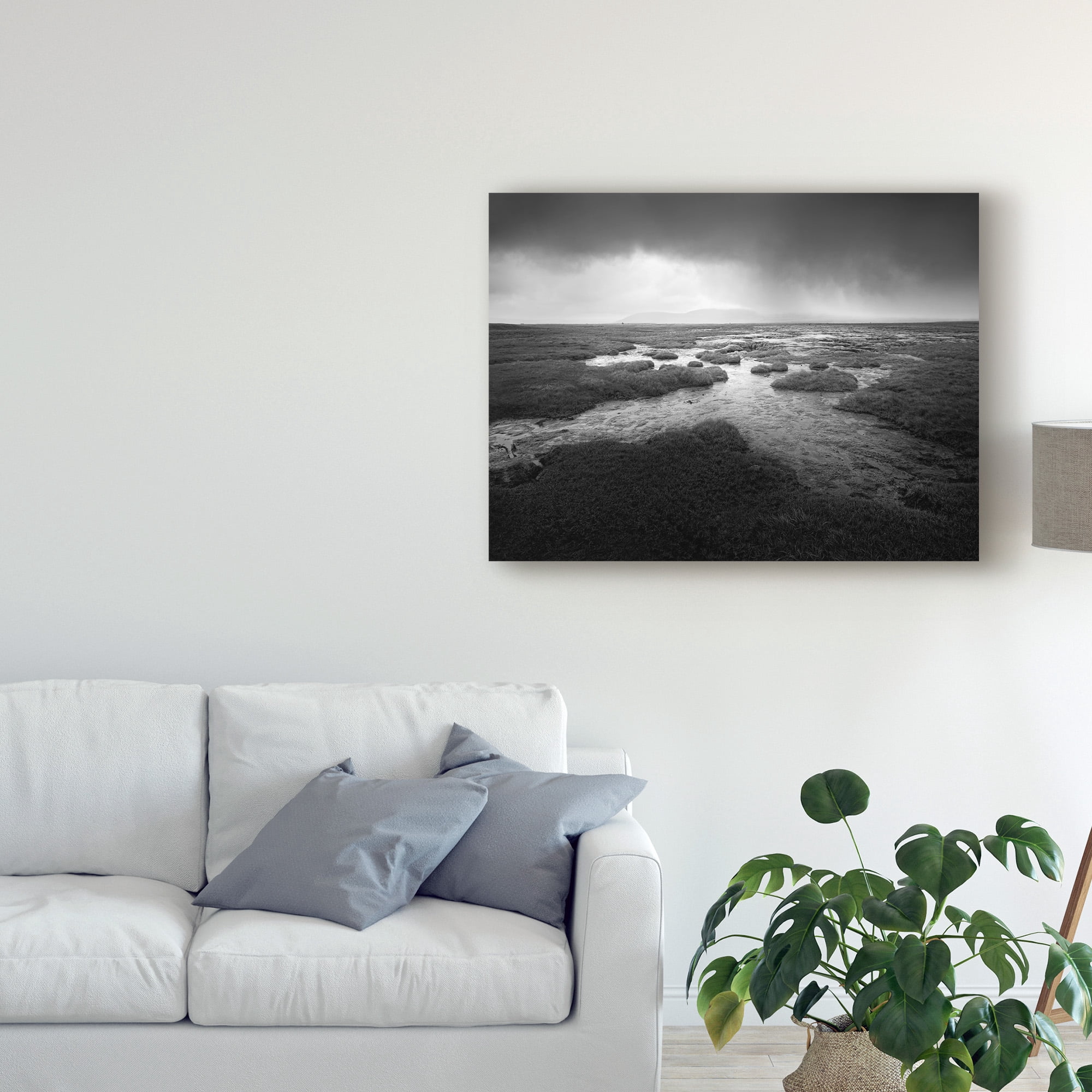 Trademark Fine Art 'Scale Moor' Canvas Art by Martin Henson