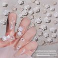 thumbnail image 2 of Manicura camelia joyería hielo transparente aurora resina decoración de uñas pegatinas color mágico tridimensional diy, 2 of 5