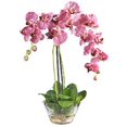 thumbnail image 1 of Nearly Natural 4643-PR Phalaenopsis avec Vase en Verre- Pourpre, 1 of 1