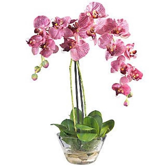 Nearly Natural 4643-PR Phalaenopsis avec Vase en Verre- Pourpre