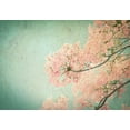 thumbnail image 2 of PhotoINC Studio 24x18 White Modern Wood Framed Museum Art Print Titled - Flamboyant II, 2 of 4