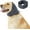Grey, variant on Dog Quiet Ear Cover Muffs for Small Medium Large Dogs,Calming Dog Anxiety Relief Dog Ear Wrap Head Cover,Dog Quiet Snood Hooded for Bathing Grooming Force Drying Purple M