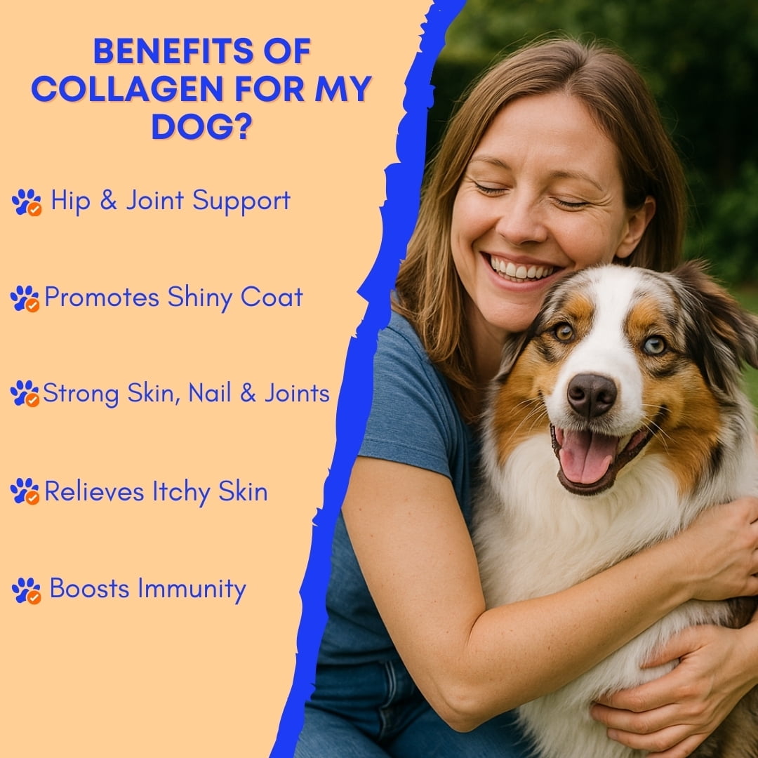 Paww Chew Liquid Collagen For Dogs - Hip & Joints Support, Skin and Coat Relief for Dogs With Dry Skin, Itch Relief, Allergy Support with Biotin, MSM and Vitamin C for Joint, Nails, Made in the USA