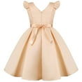 thumbnail image 5 of Rohuuque Elegant Girls Dress Satin Sleeveless Floral Embriodery Party Gowns 3-4 Years Beige, 5 of 9