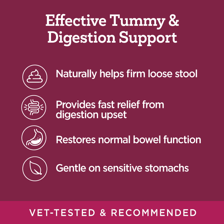 Vetality Stop The Runs, Anti-Diarrhea Chewable Tablets for Dogs, 6 Count.  Fast Acting and Supports Normal Bowel Function for Dogs.  Chicken Apple Flavor.