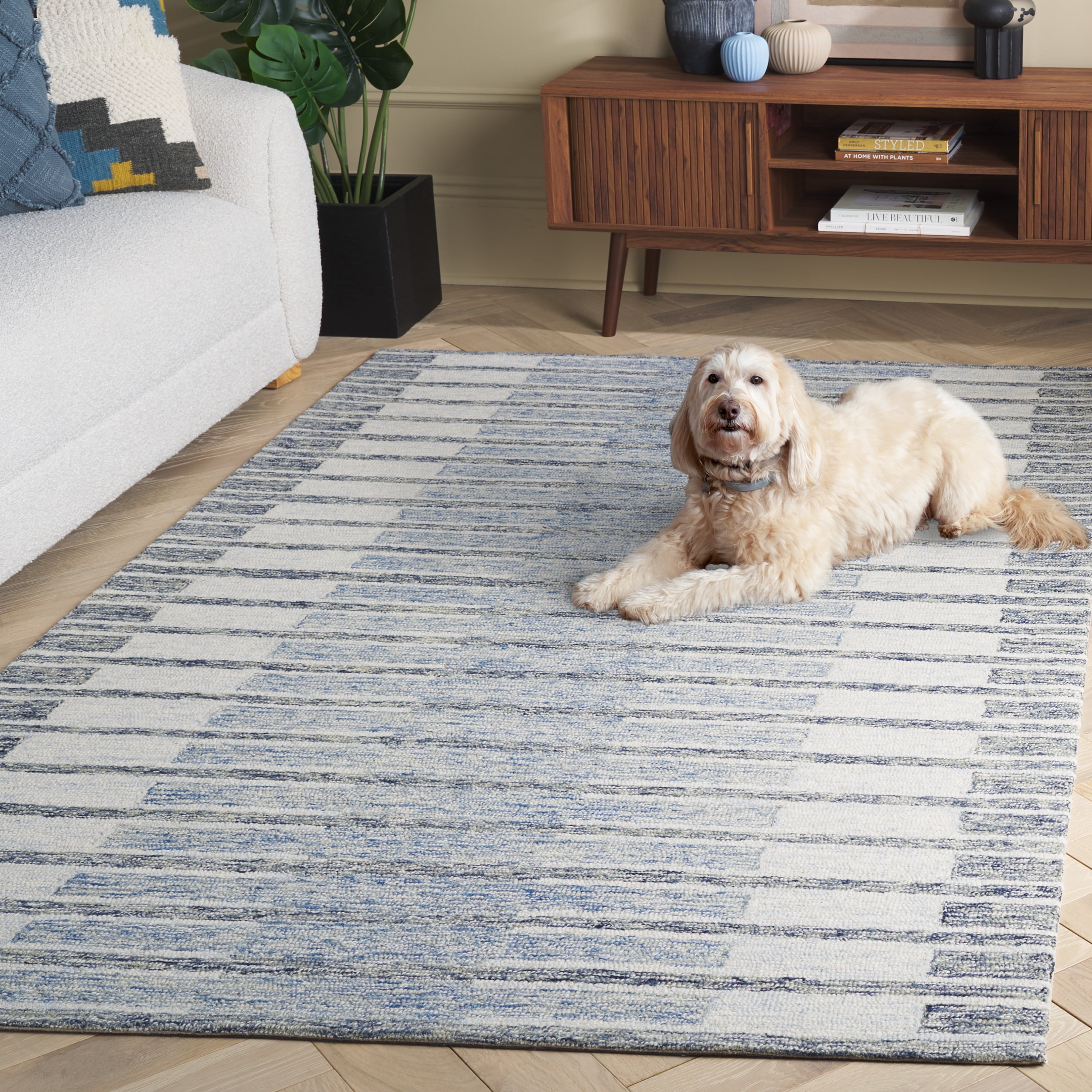 Safavieh Ebony Elisa Geometric Striped Area Rug, Ivory/Blue, 8' x 10'