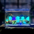 thumbnail image 3 of SPRING PARK 50Pcs/Bag Glow in The Dark Pebbles Luminous Stones Rocks For Garden Aquariums Decor, 3 of 7