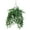English Green, variant on Fully Assembled Ivy Hanging Basket by OakRidge, Holland Variegated