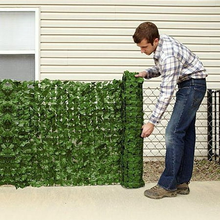 Ivy Privacy Fence Cover - cover an ugly fence (Best Plants For Privacy Fence)