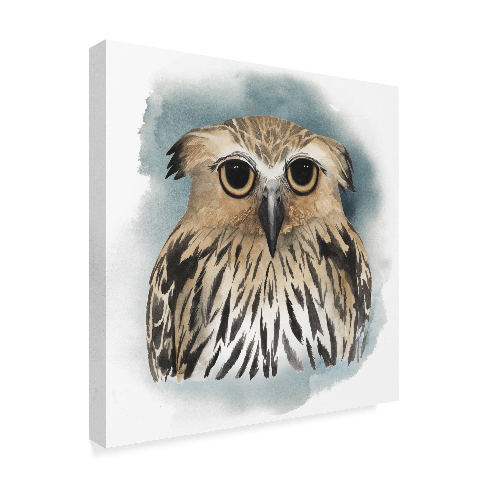 Trademark Fine Art 'Greenwood Animals II' Canvas Art by Grace Popp