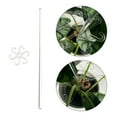 thumbnail image 2 of Gazechimp Plant Support Stake Acrylic with Hook Clip for Garden Balcony Indoor Outdoor M, 2 of 5