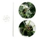 thumbnail image 1 of Estaca de Soporte para Plantas shamjiam Palo de soporte para tallos de plantas M, 1 of 7