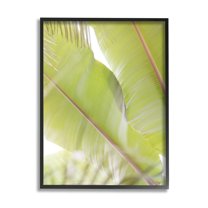Stupell Tropical Palm Modern View Botanical & Floral Photography Black Framed Art Print Wall Art