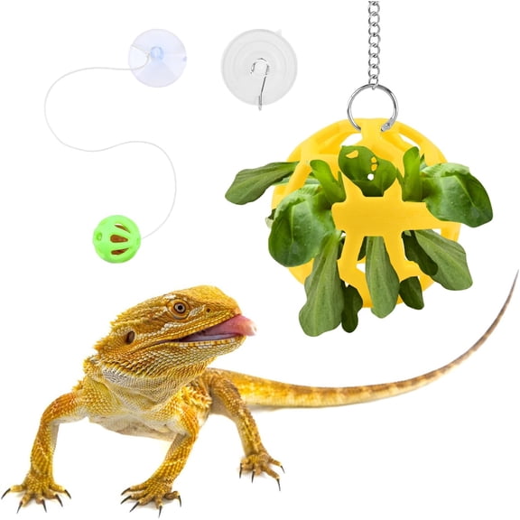 Bearded Dragon Feeder Ball Set – Vegetable & Bell Ball Interactive Exercise Toys for Reptile Tanks
