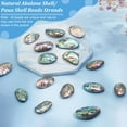 thumbnail image 6 of 1 Strand 15pcs Abalone Shell Charms Natural Abalone Shell Beads Irregular Paua Shell Beads Loose Beads for Bracelet Earrings DIY Jewelry Making 15inch, 6 of 6
