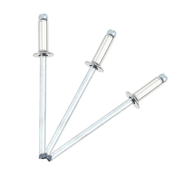 RENACLIPY 30Pcs Silver Stainless Steel Rivets .2x6.4in for Furniture and Home Decor