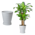 thumbnail image 4 of 2 Macetas Grande Moderna Minimalista Interior Exterior Plato BLANCO, 4 of 4