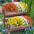 thumbnail image 4 of 24 Bundles Artificial Flowers for Outdoor, UV Resistant No Fade Fake Flowers Faux Plastic Plants for Hanging Planters Garden Porch Patio Window Box Spring Summer Decoration Orange, 4 of 8