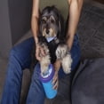 thumbnail image 4 of Cepillo Dispensador De Shampoo y Jabón,  Limpia Patitas De Mascotas Reynera, 4 of 6