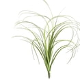 thumbnail image 2 of AMERTEER 10Pcs/Set Realistic Artificial Grass Exquisite Vivid Plastic Delicate Simulation Grass for Home Autumn Green, 2 of 7