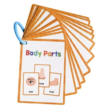 15PCS/Set Body Parts Cards English Pocket Card Toddler Learning Toys, Preschool Learning Toys, Homeschool Supplies, Learning Supplies for Kindergarten Educational Learning Flashcard