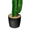 thumbnail image 4 of Vickerman 45" Artificial Green Finger Cactus in 8" Black Pot., 4 of 5