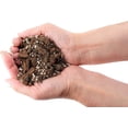 thumbnail image 3 of Gardenera Labs Premium Spider Plant Potting Soil Mix - (2 Quart Bag), 3 of 4
