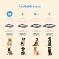 thumbnail image 5 of Sofá ortopédico cama para perros – Cama para perros medianos – Cama para mascotas transpirable e impermeable – Sofá cama de espuma de huevo con soporte adicional para la cabeza y el cuello – Funda ext, 5 of 5