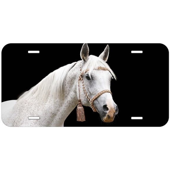 White Arab Horse HTAG19 Novelty Car Auto License Plate
