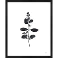 thumbnail image 1 of Great Art Now Botanical Study Branch by Julia Purinton, Framed Wall Art, 17.25W x 21.25H, 1 of 3