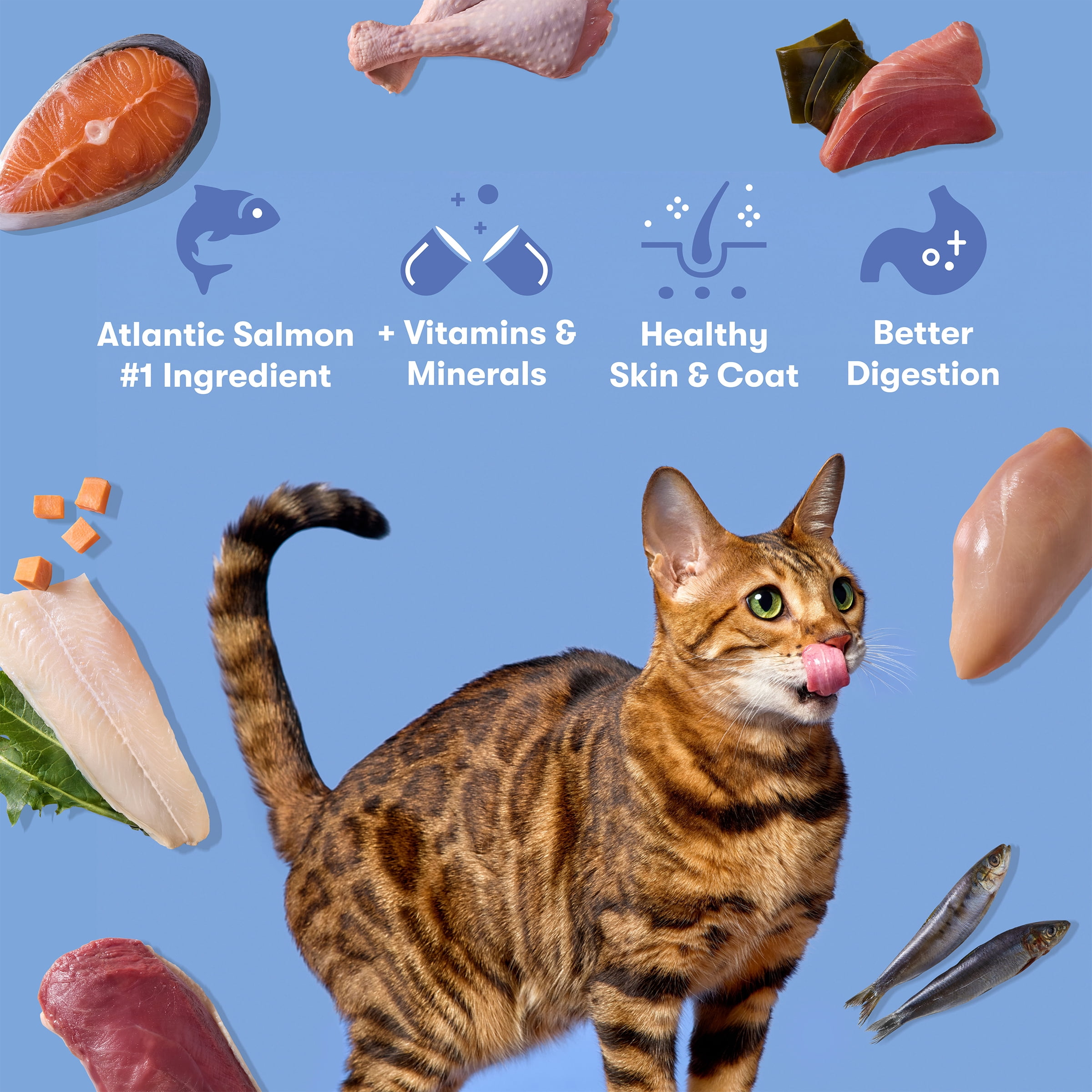 Jinx Atlantic Salmon, Ocean Fish, & Pollock Dry Cat Food, 3 lb