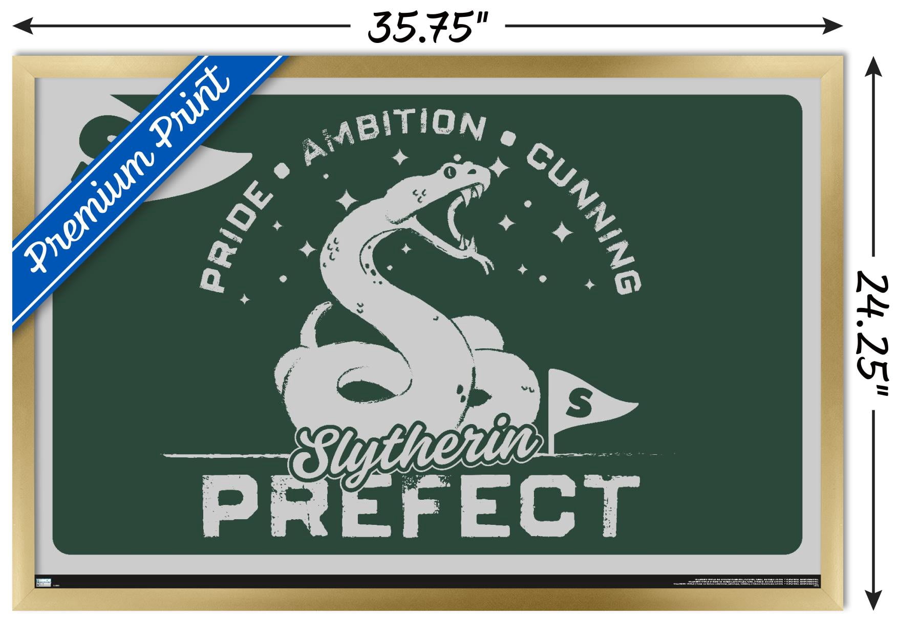 The Wizarding World: Harry Potter - Slytherin Clubhouse Crest Wall Poster, 22.375" x 34" Framed