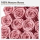 thumbnail image 4 of Rosas preservadas Eterfield Forever Flowers, caja de 16 rosas, rosa empolvado, 4 of 6
