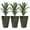 Brown#5, variant on Garden Pots Outsunny 3-Tier Wall Planter with 6 Pots for Indoor and Outdoor Use, Hanging Plant Holder, Self Draining Wall Mounted Planter for Vegetables, Flowers, Herbs, Black,Outdoor Garden Planters