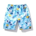 thumbnail image 4 of Ailaofu Women's Elastic Waist Printed Shorts, Casual Loose Lightweight Comfortable Summer Shorts, Beach Vacation Casual Shorts, 4 of 6