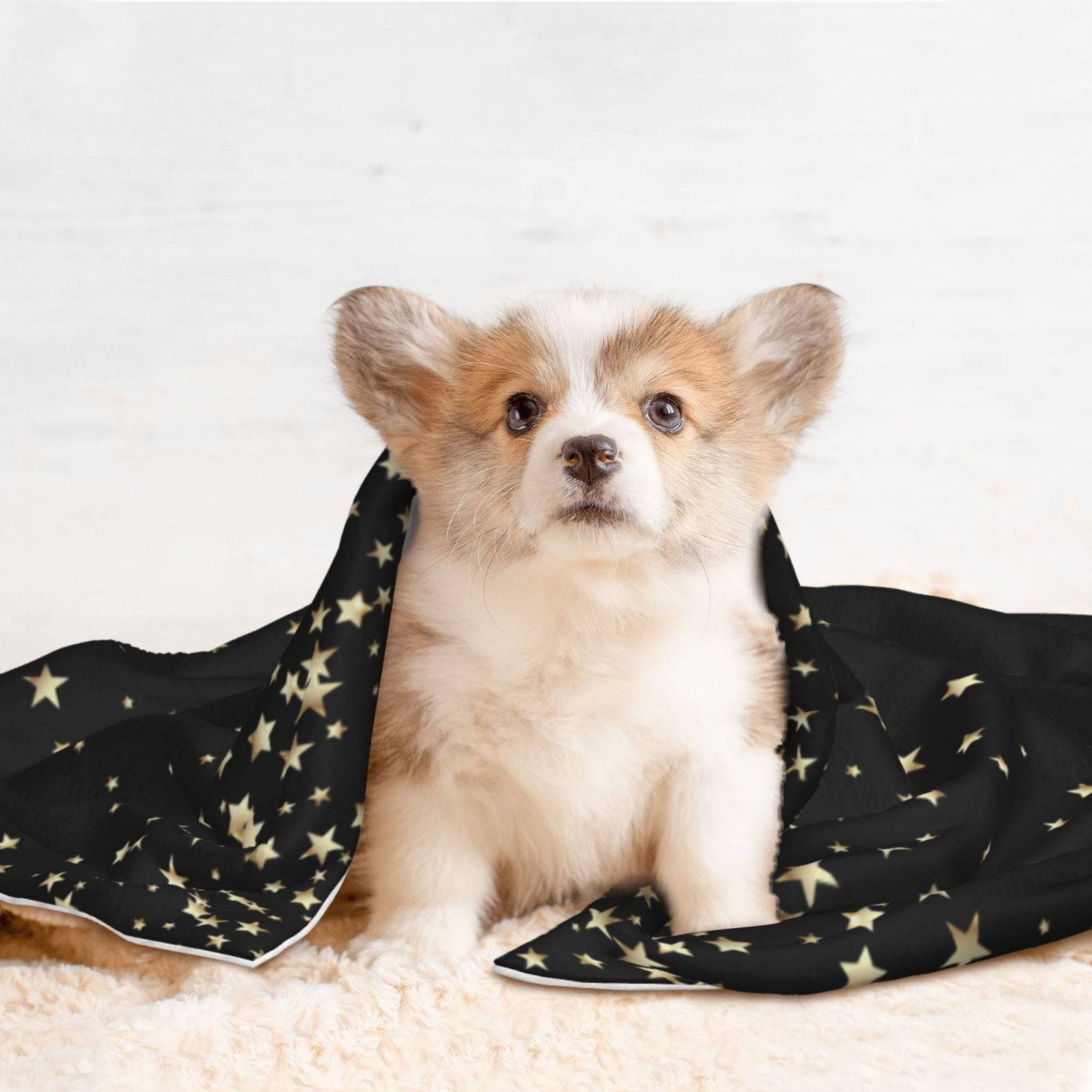 Naloa Star Silver Glitter Dog Blanket, 3 Sizes Cat Blanket for Indoor Cats Large Medium Small Dog Gifts-Small
