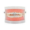 thumbnail image 2 of Unique Bargains 1 Pc Fake Grills Hip Hop Four-Pointed Star Teeth Grillz Silver Tone, 2 of 6