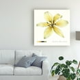 thumbnail image 3 of Trademark Fine Art 'Lilium I' Canvas Art by Grace Popp, 3 of 3