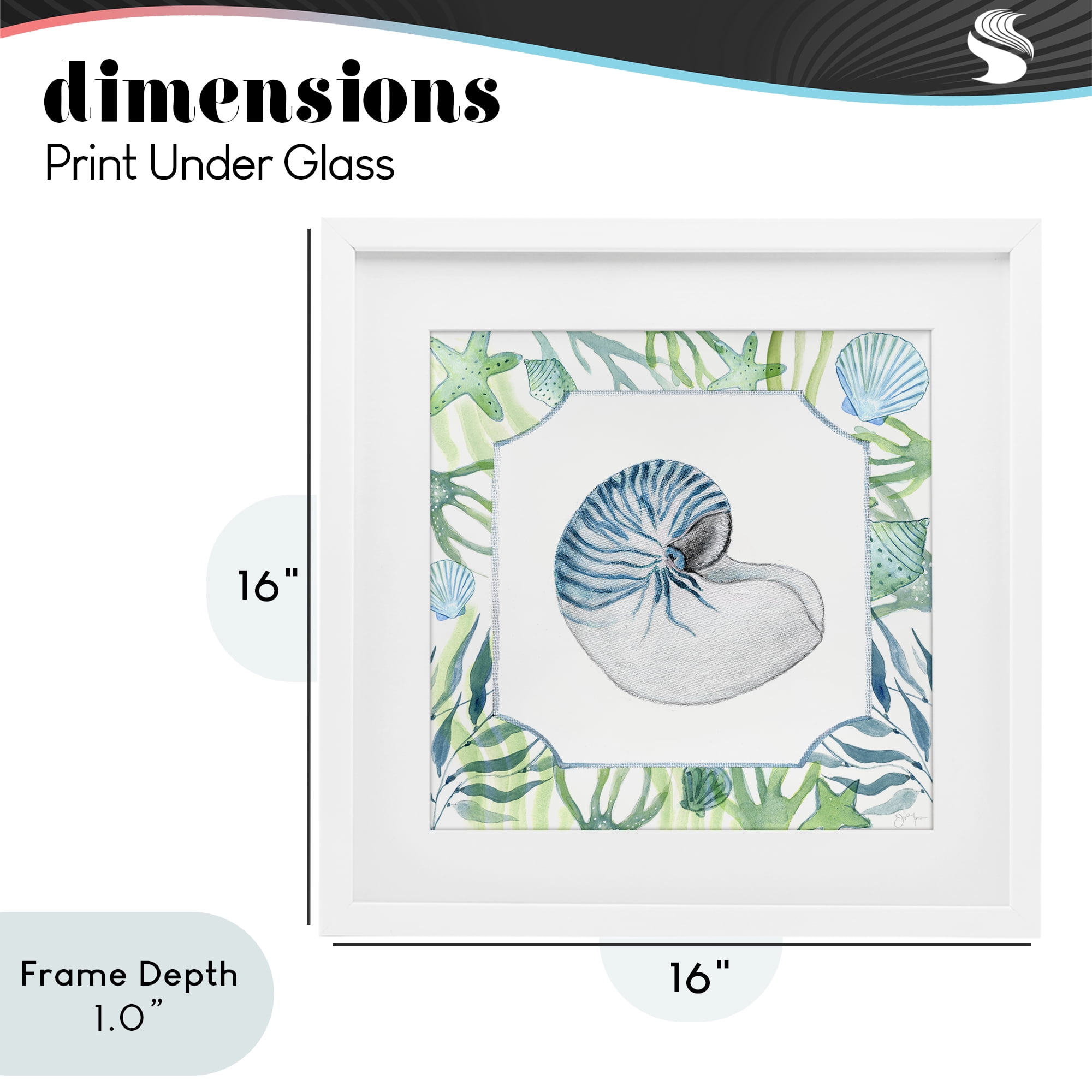 Stupell Industries Seaweed & Seashells Aquatic White Framed Print Under Glass, design by Janet Tava