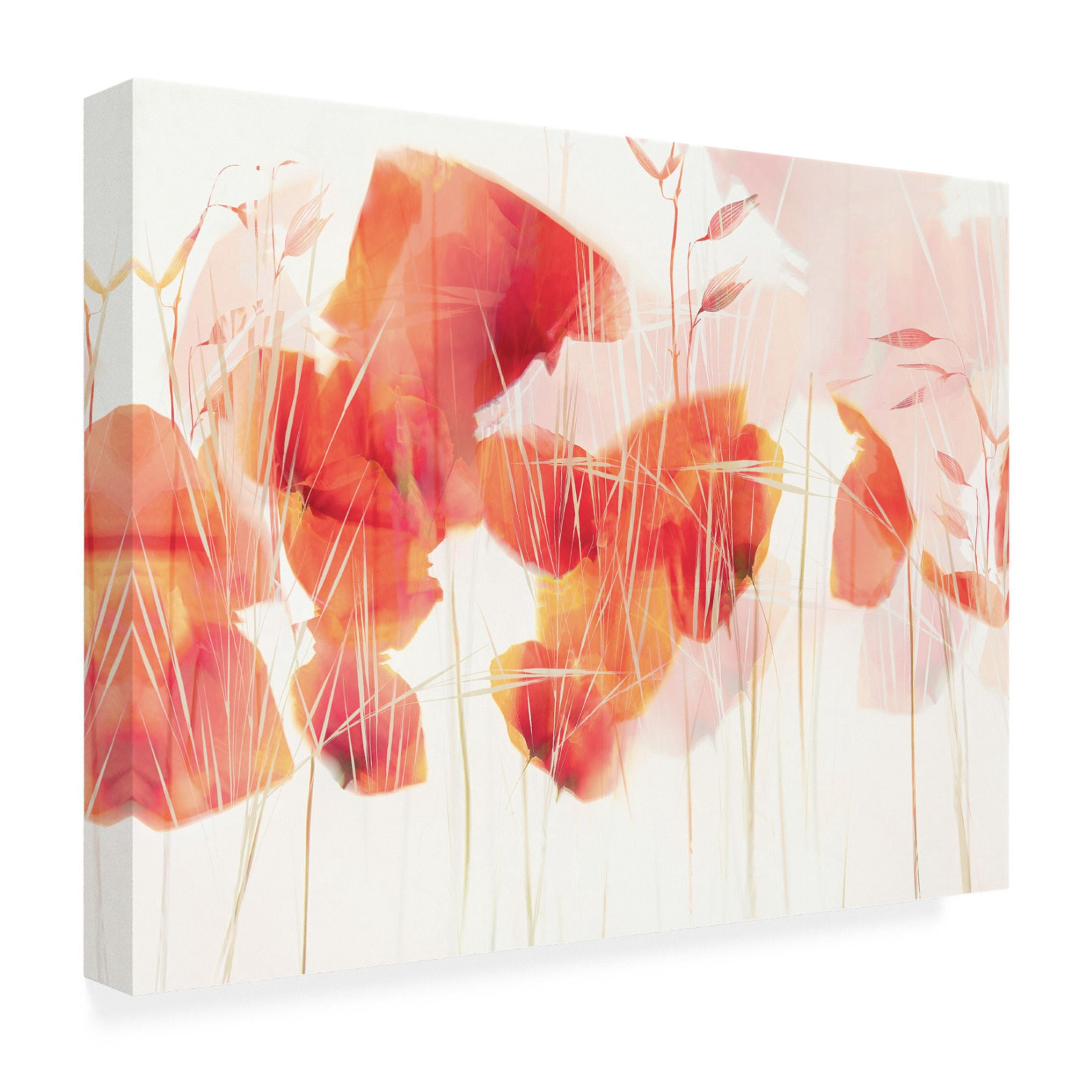 Trademark Fine Art Nel Talen Modern poppies Canvas Wall Art