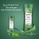 thumbnail image 4 of Set de champú y acondicionador Suave Rosemary & Mint 375 ml, 4 of 9