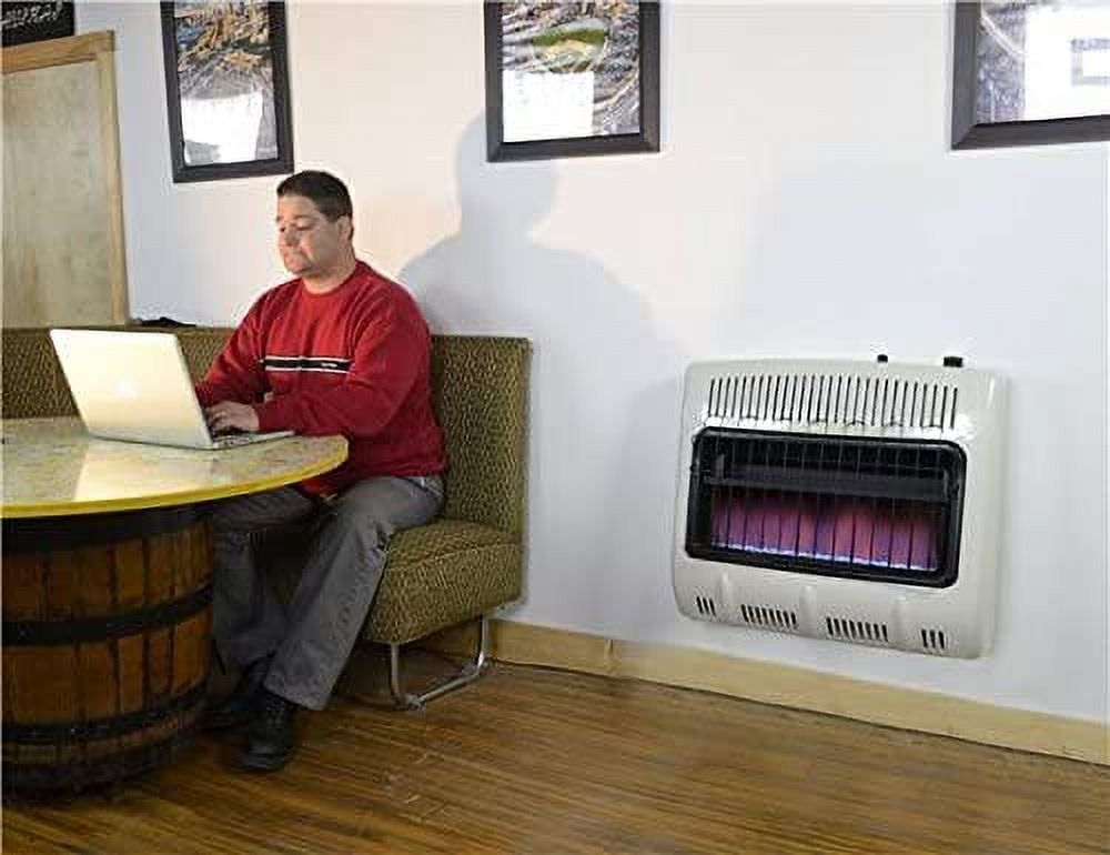 Mr. Heater 30,000 BTU Vent Free Blue Flame Natural Gas Heater MHVFB30NGT -  Walmart.com
