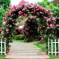 thumbnail image 5 of Arco de jardín al aire libre negro Arco de jardín de metal estable y elegante Fácil de instalar Arco de jardín de hierro Arco de jardín para plantas trepadoras para bodas, 3 tamaños ( Size : 140x40x240cm/55.1x15 esquí esquí Gafas de esquí, 5 of 5