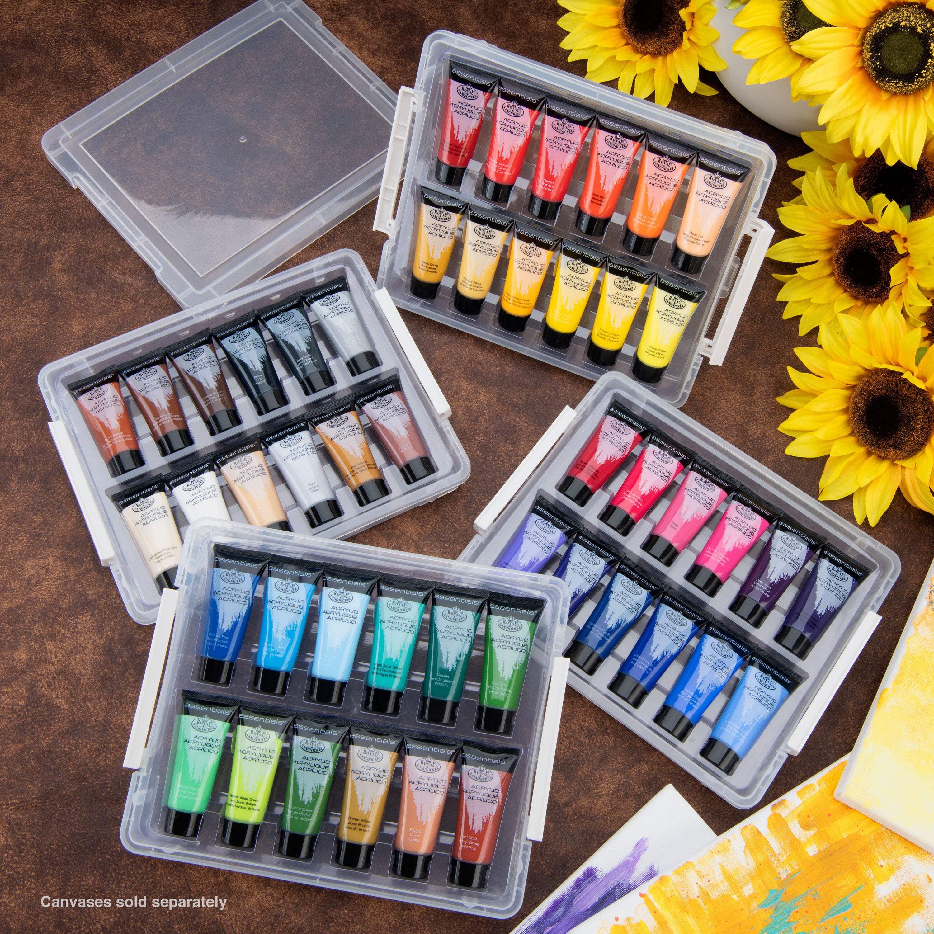 Royal & Langnickel Essentials 22ml 24 color Artist Acrylic Paint with storage case