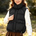 thumbnail image 6 of Samdudou Boys Puffer Vests Stand Collar Sleeveless Jackets Kids Fall Winter Warm Full Zip Outerwear Quilted Padded Coats Casual Outdoor Coat with Button Pockets Size 5-13 Years, 6 of 8