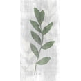 thumbnail image 2 of Brown, Denise 18x32 White Modern Wood Framed Museum Art Print Titled - Stem in Nature 1, 2 of 4